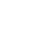 Line Itemwise Description